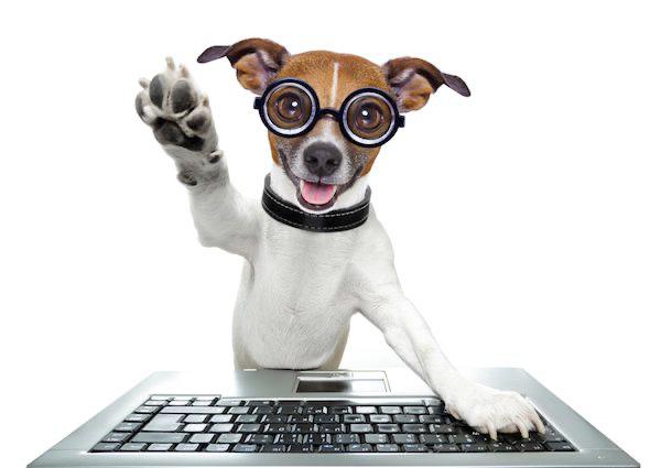 En construcción